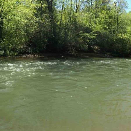 Cabin Fever On Cartecay River Ellijay Εξωτερικό φωτογραφία