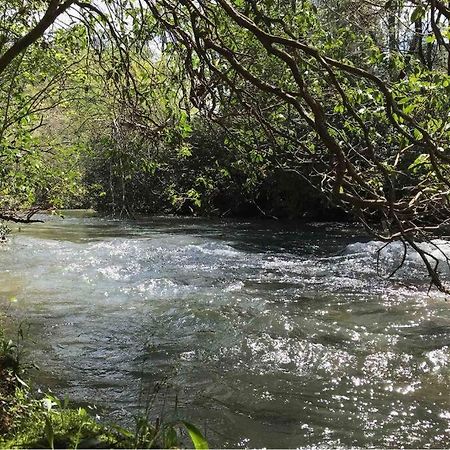 Cabin Fever On Cartecay River Ellijay Εξωτερικό φωτογραφία