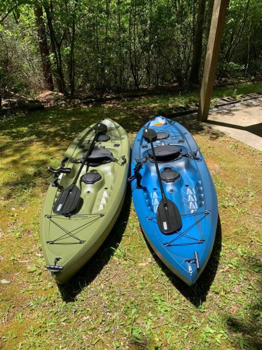 Cabin Fever On Cartecay River Ellijay Εξωτερικό φωτογραφία