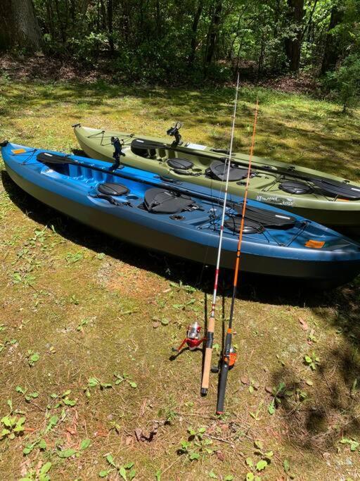 Cabin Fever On Cartecay River Ellijay Εξωτερικό φωτογραφία