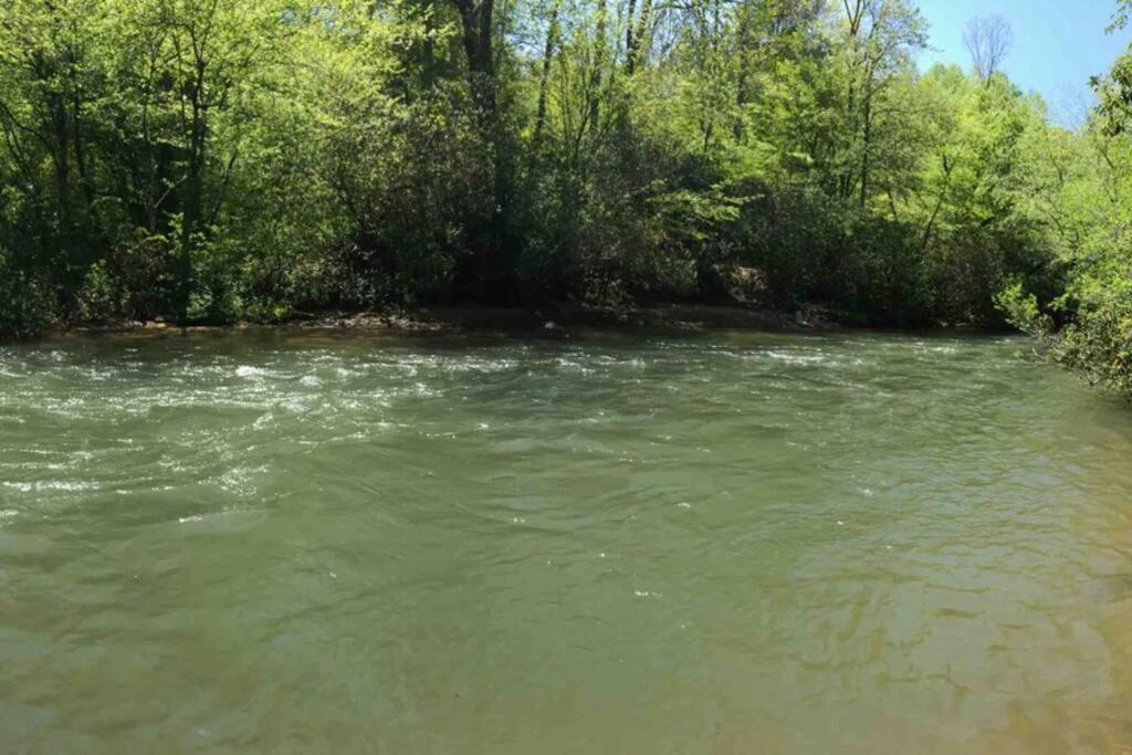 Cabin Fever On Cartecay River Ellijay Εξωτερικό φωτογραφία