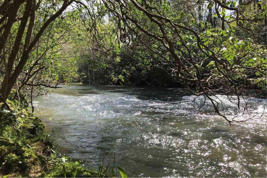 Cabin Fever On Cartecay River Ellijay Εξωτερικό φωτογραφία