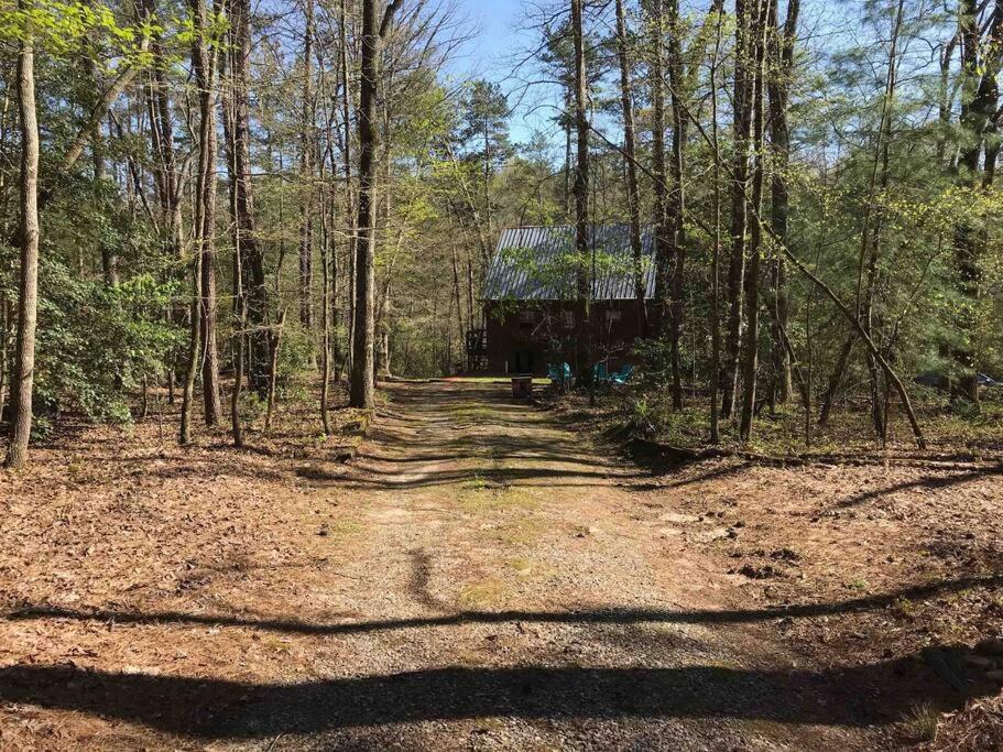 Cabin Fever On Cartecay River Ellijay Εξωτερικό φωτογραφία